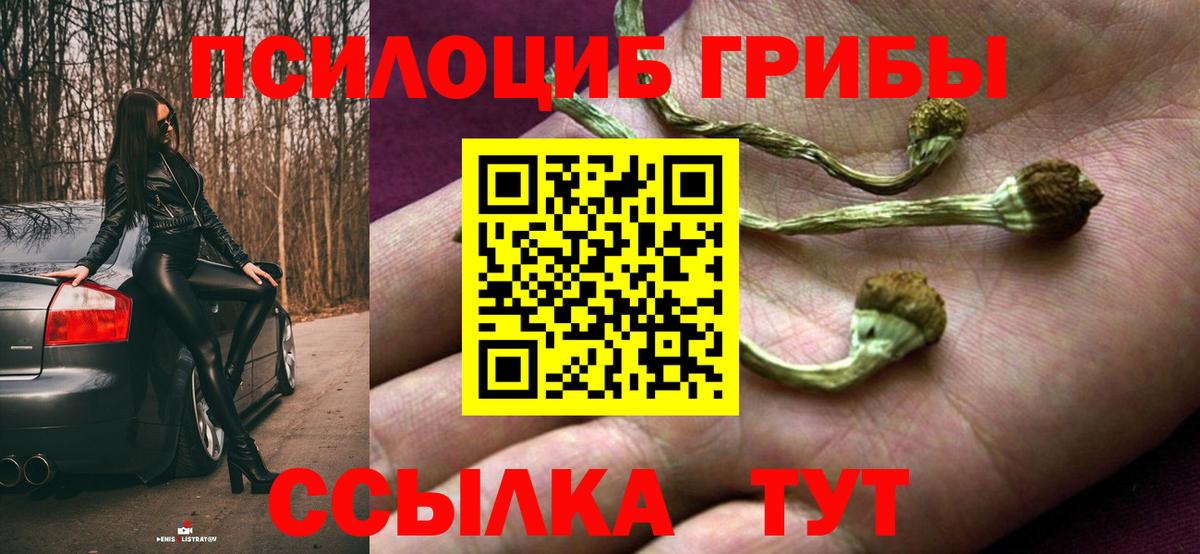 Донецк  Галлюциногенные грибы мухоморы  Галлюциногенные грибы GOLDEN TEACHER  наркотики  Вход с VPN 